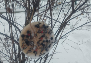zawieszona bombka lodowa z przysmakami dla ptaków