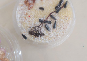 przygotowany przysmak przez dziecko