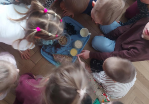 dzieci oglądają , rozpoznają i nazywają ptasie przysmaki