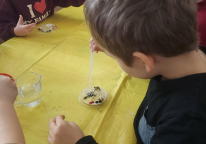 chłopiec, który za pomocą pipety uzupełnia wieczko wodą