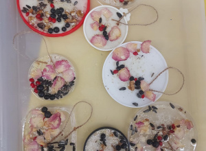 Co jedzą ptaki zimą?