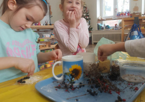 dzieci przygotowują przysmaki dla ptaków