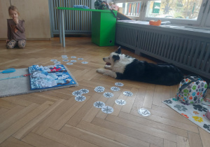 Lilka oczekująca na wykonanie zadania