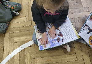 Na zdjęciu widzimy dziewczynkę, która poszukują w książce wiadomości i ilustracji o niedźwiedziu polarnym.