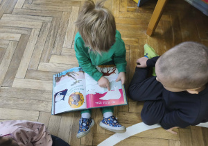 Na zdjęciu widzimy chłopca, który poszukuje w książce wiadomości i ilustracji o niedźwiedziu polarnym.