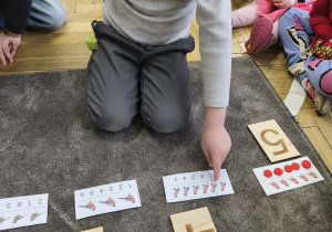 Na zdjęciu widzimy chłopca, który przelicza ptaki na ilustracji.