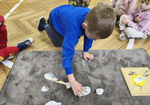 Na ilustracji widzimy chłopca, który dopasowuje ilustrację głowy ptaka do puzzli botanicznych.