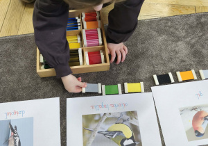 Na zdjęciu widzimy dziewczynkę, która przyporządkowuje tabliczki kolorystyczne do ilustracji przedstawiającej sikorki bogatki.