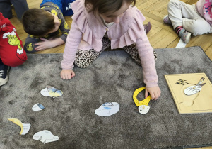 Na ilustracji widzimy dziewczynkę, która dopasowuje ilustrację klatki piersiowej ptaka do puzzli botanicznych.