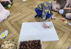 Na zdjęciu widzimy chłopca, który układa kasztana tworząc karmnik dla ptaków z materiału przyrodniczego.