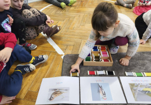 Na zdjęciu widzimy dziewczynkę, która przyporządkowuje tabliczki kolorystyczne do ilustracji przedstawiającej wróbelka. .