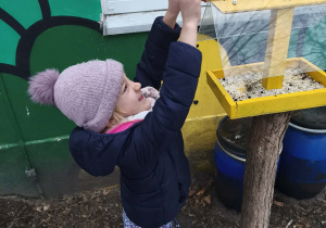 Na zdjęciu widzimy dziewczynkę, która zawiersza zrobiony karmnik na żółtym karmniku w ogrodzie przedszkolnym.