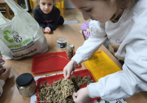 Na zdjęciu widzimy dziewycznkę, która obtacza rolkę po papierze toaletowym w ziarenkach dla ptaków.