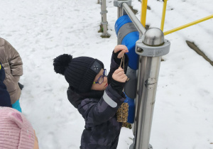 Na zdjęciu widzimy chłopca, który zawiesza na pomocy w ogrodzie karmnik zrobiony przez dzieci.