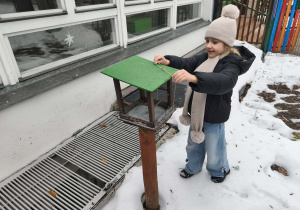 Na zdjęciu widzimy dziewczynkę, która zawiersza zrobiony karmnik na zielonym karmniku w ogrodzie przedszkolnym.