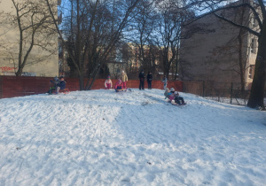 Dzieci na górce, zjeżdżają na sankach