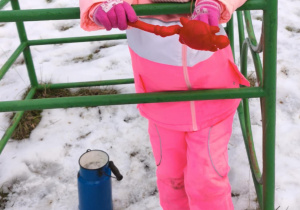 Dziecko bawi się na drabince