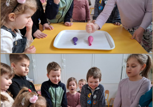 kolaż zdjęć z eksperymentami