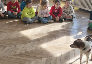 Dzieci obserwujące psa