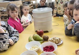 Dzieci rozmawiają o zastosowaniu suszarki