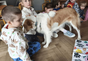 Psy podchodzą do dzieci