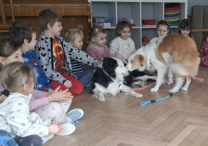 Psy podchodzą do dzieci