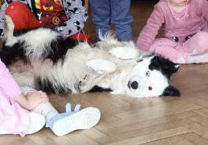 Psy podchodzą do dzieci