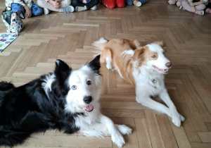 Dwa psy leżące na środku sali przed dziećmi