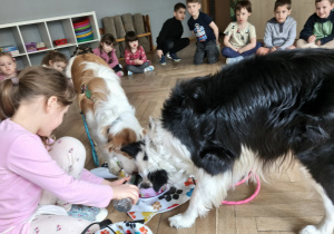 Dziewczynka daje pić psom