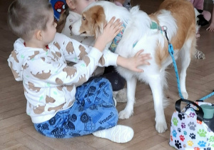 Psy podchodzą do dzieci