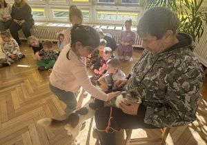 Zdjęcie przedstawia dziewczynkę głaszczącą kota.