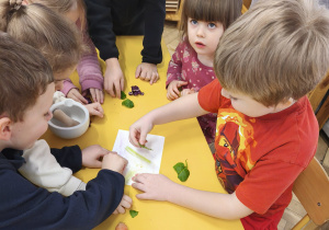 Dzieci rozdrabniają szpinak