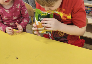 Chłopiec wącha curcumę