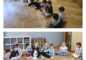 Na zdjęciach widzimy dzieci witające się z pieskami za pomocą głaskania.