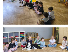 Dogoterapia - kolejne spotkanie z psami