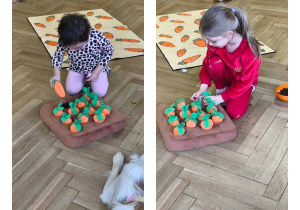 Na zdjęciu widzimy dzieci, które chowają pod materiałowymi marchewkami smakołyki dla piesków.