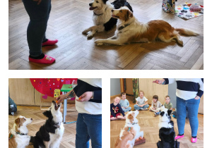 Na zdjęciach widzimy jak Lily i Bibi wykonują sztuczki.