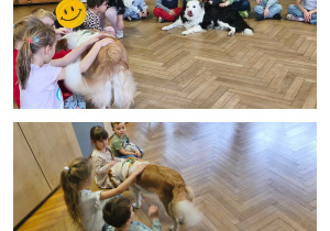 Na zdjęciach widzimy dzieci witające się z pieskami za pomocą głaskania.