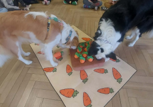 psy szukające chrupek