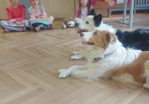 psy w oczekiwaniu na zakończenie zadania