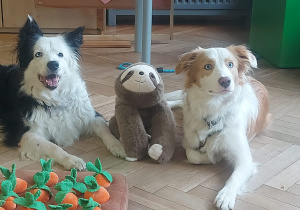 Bibi i Lili z leniwcem po środku