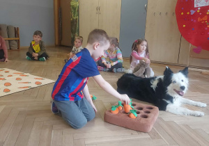 marchewkowe zadanie, chłopiec wkłada marchewkę