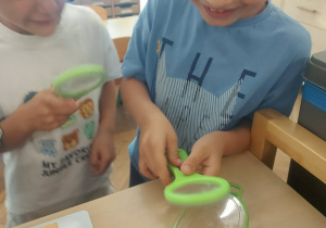 chłopcy obserwujący złapanego pająkaDwie dziewczynki, które układa