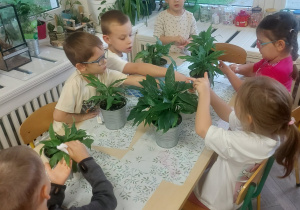 czyścimy kwiaty one daja nam tlen