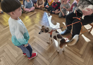 Chłopiec stoi okok psa.