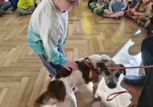 Chłopiec głasze pieska.