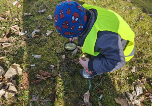 Na zdjęciu widzimy chłopca, który z pomocą lupy ogląda pierwsze wiosenne kwiaty.