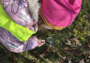 Na zdjęciu widzimy dziewczynkę, która z pomocą lupy ogląda pierwsze wiosenne kwiaty.
