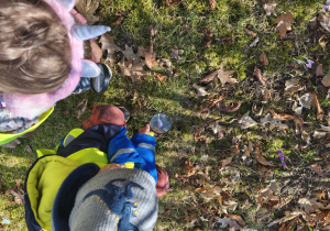 Na zdjęciu widzimy dwójkę dzieci, które z pomocą lupy oglądają krokusy.