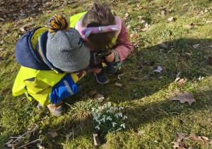 Na zdjęciu widzimy dwójkę dzieci, które oglądają przez lupę przebiśniegi.